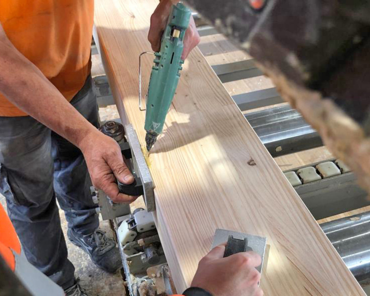Knot Filler used to repair an edge in CLT timber production