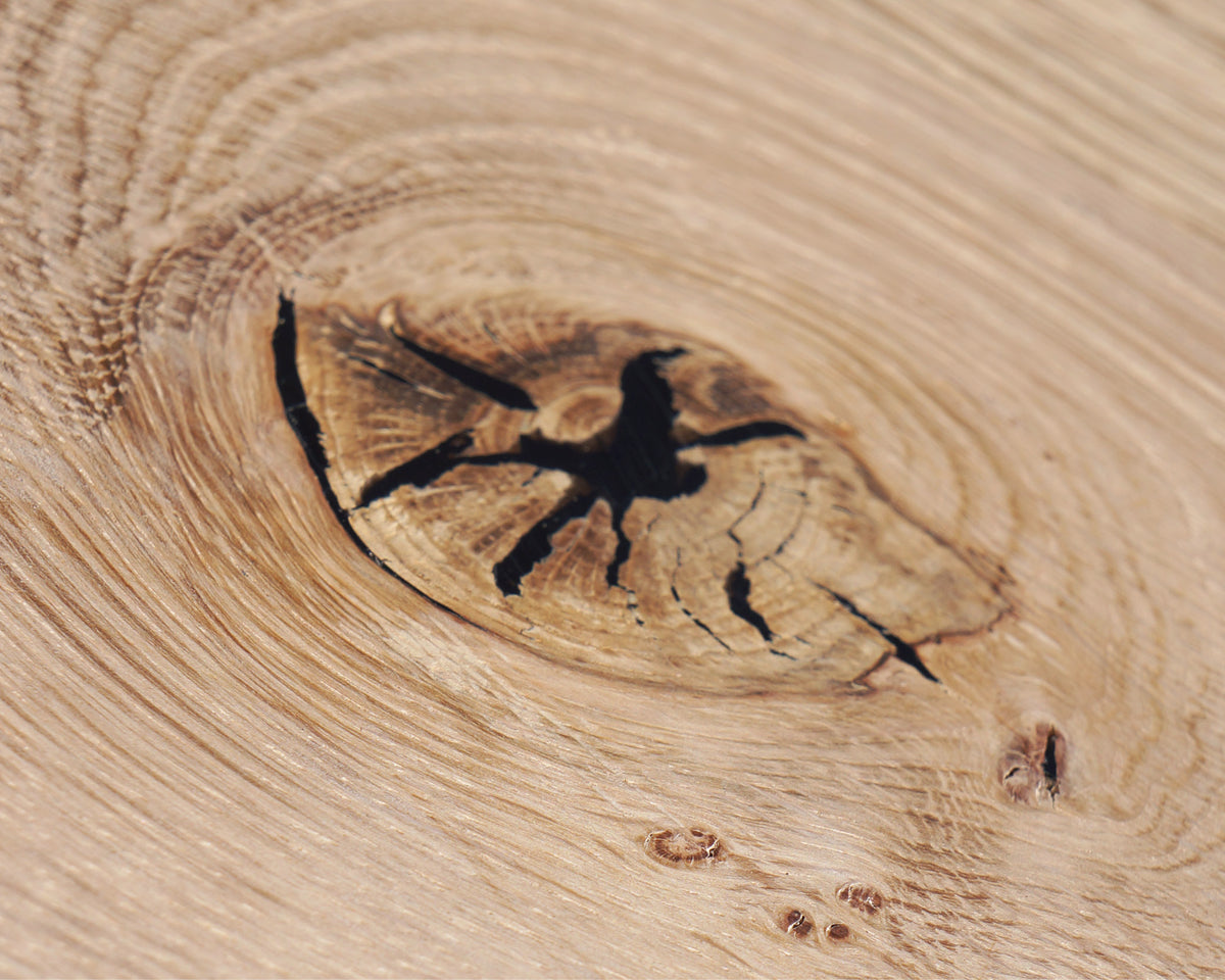Black Knot Filler repairing a defect in dark wood